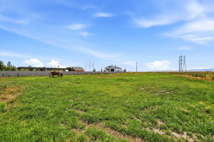 One acre pasture equipped with full sprinkler system.
