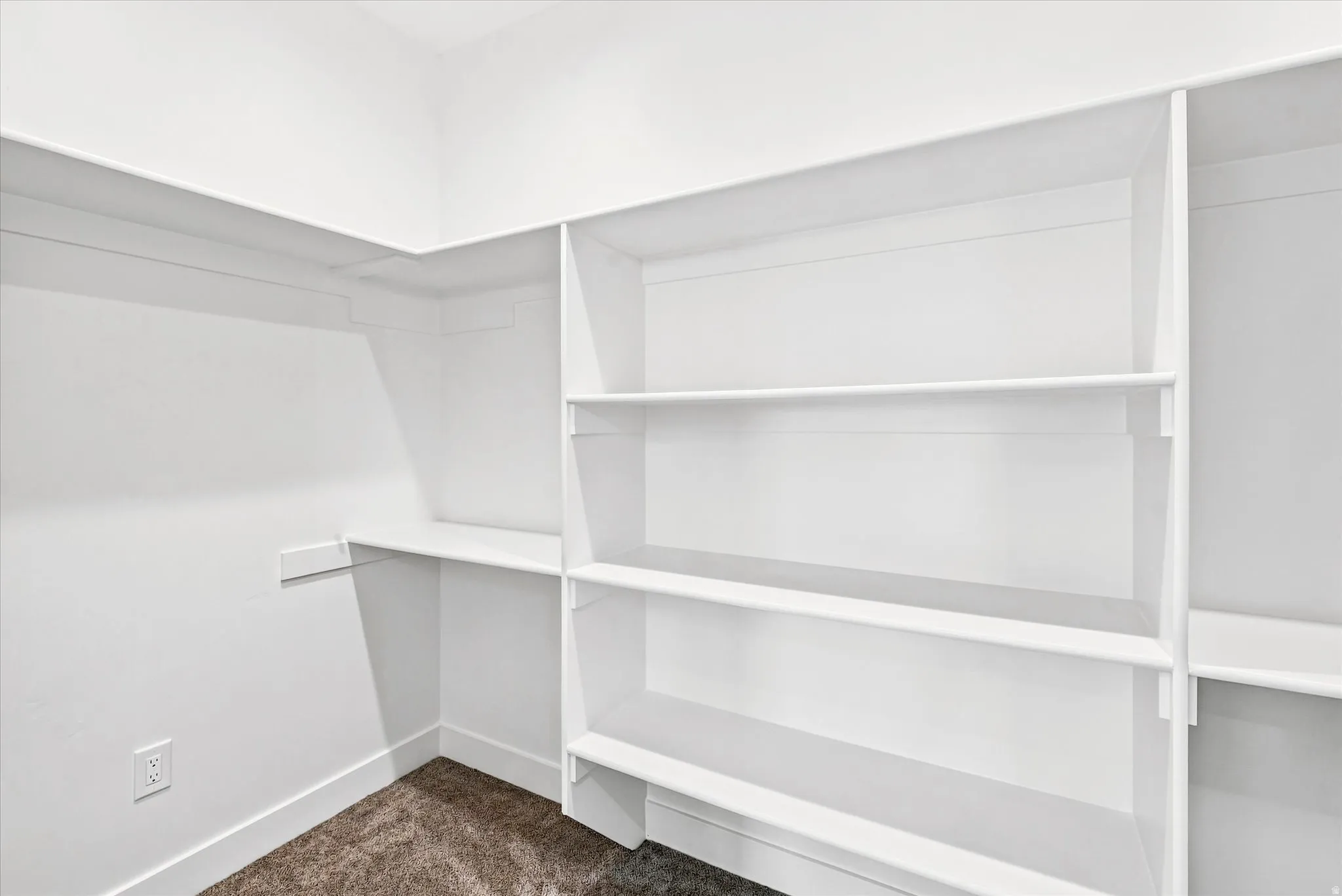 Integrated shelving system, white painted walls, and carpet flooring