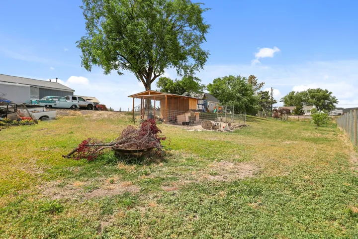 Expansive outdoor space featuring a large shade tree, a wooden lean-to structure, and a chain-link fence bordering the property
