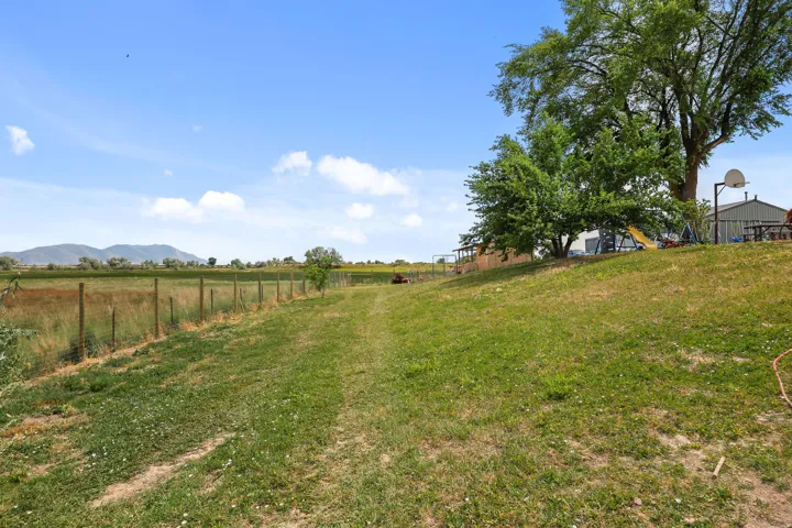 Expansive sloped lawn area bordered by a wire fence and mature trees