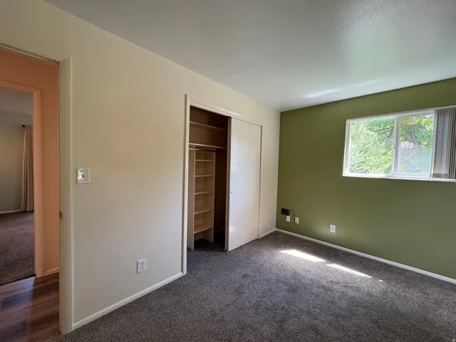 Carpeted room featuring a built-in closet with shelving, a window with horizontal blinds, and a contrasting accent wall