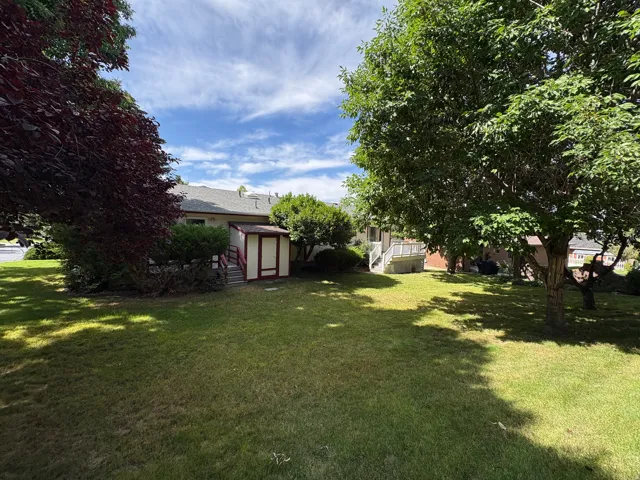 Expansive green lawn with mature trees and a detached shed featuring red trim