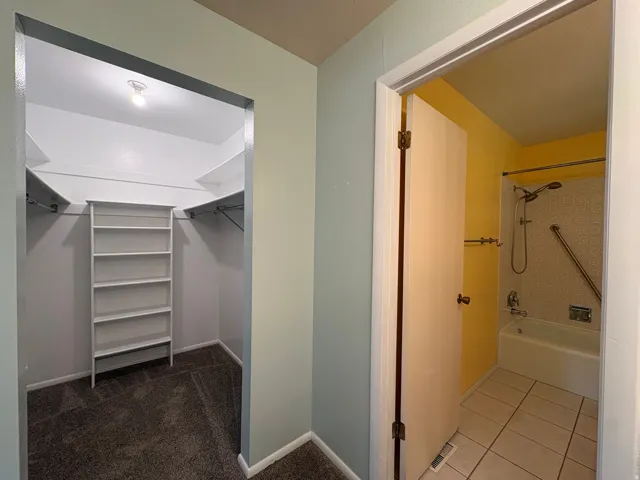 Walk-in closet with built-in shelving, hanging rods, and carpet flooring