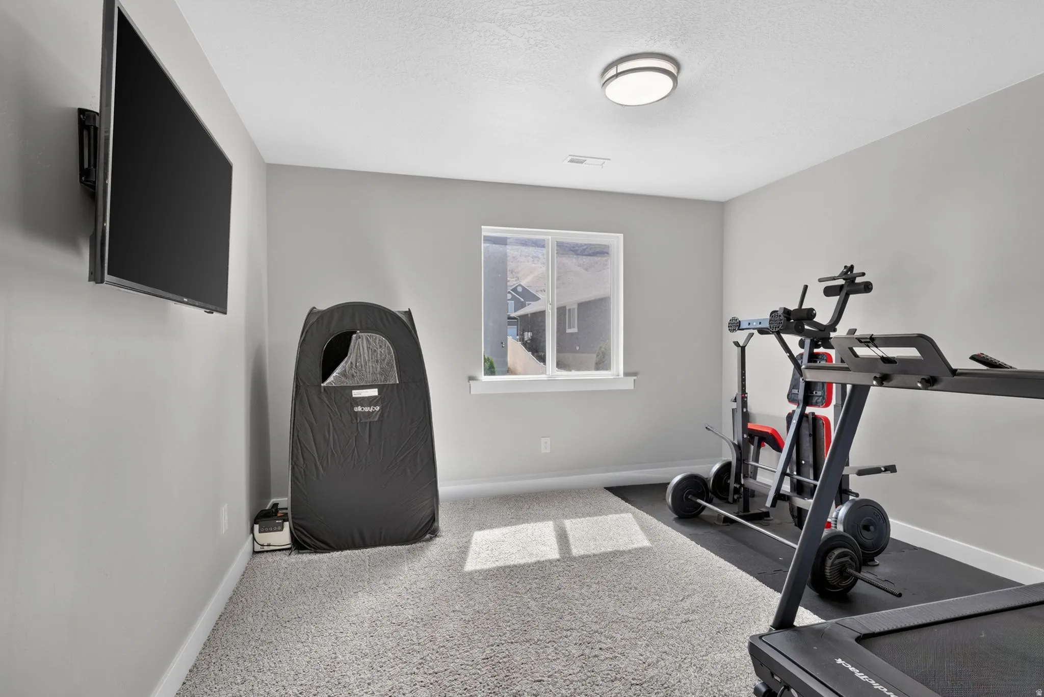 Carpeted room with light gray walls, a flush-mount ceiling light, and a single window with white trim