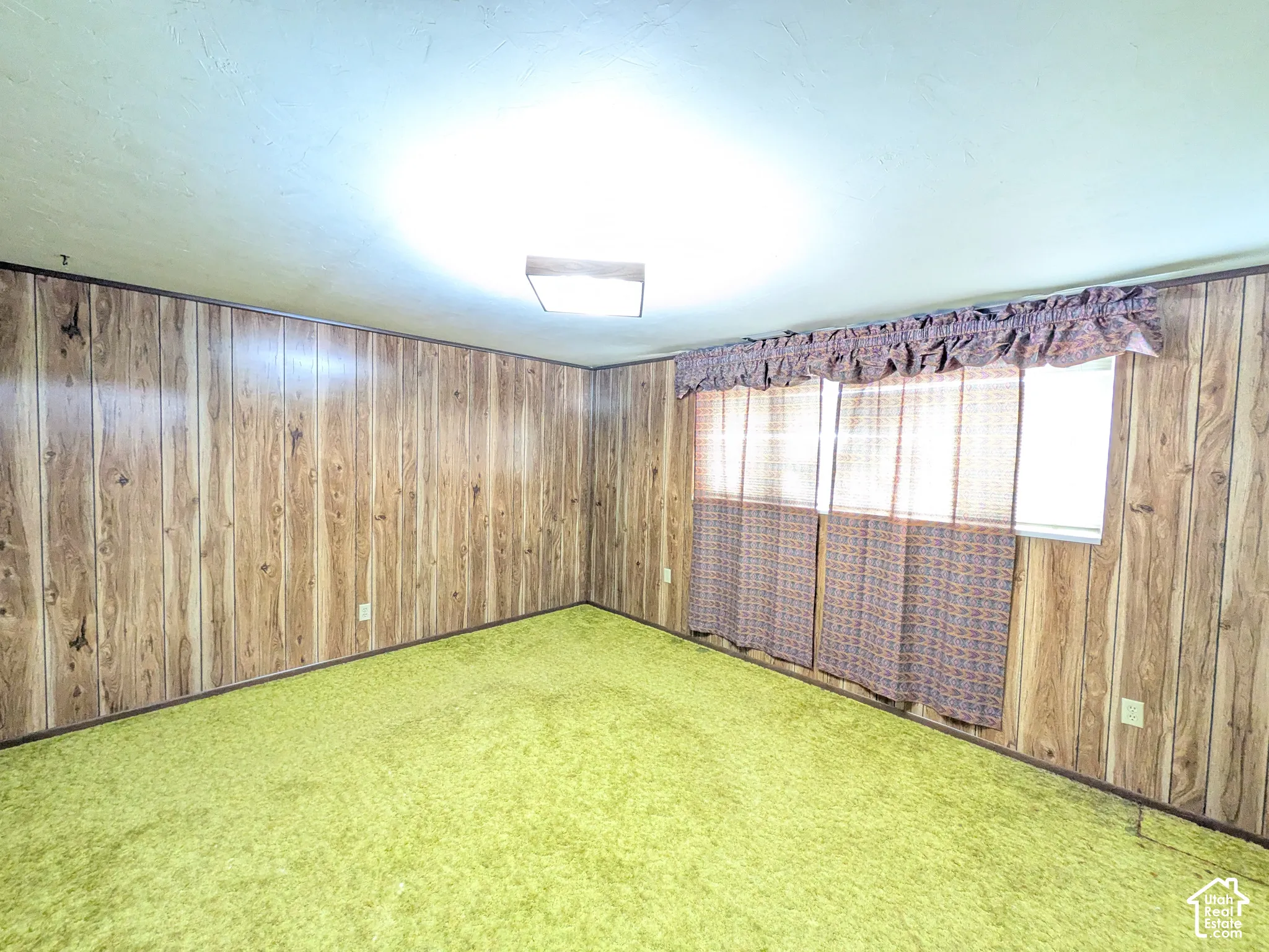 Wood-panel walls, wall-to-wall carpeting, and a flush-mount ceiling light fixture