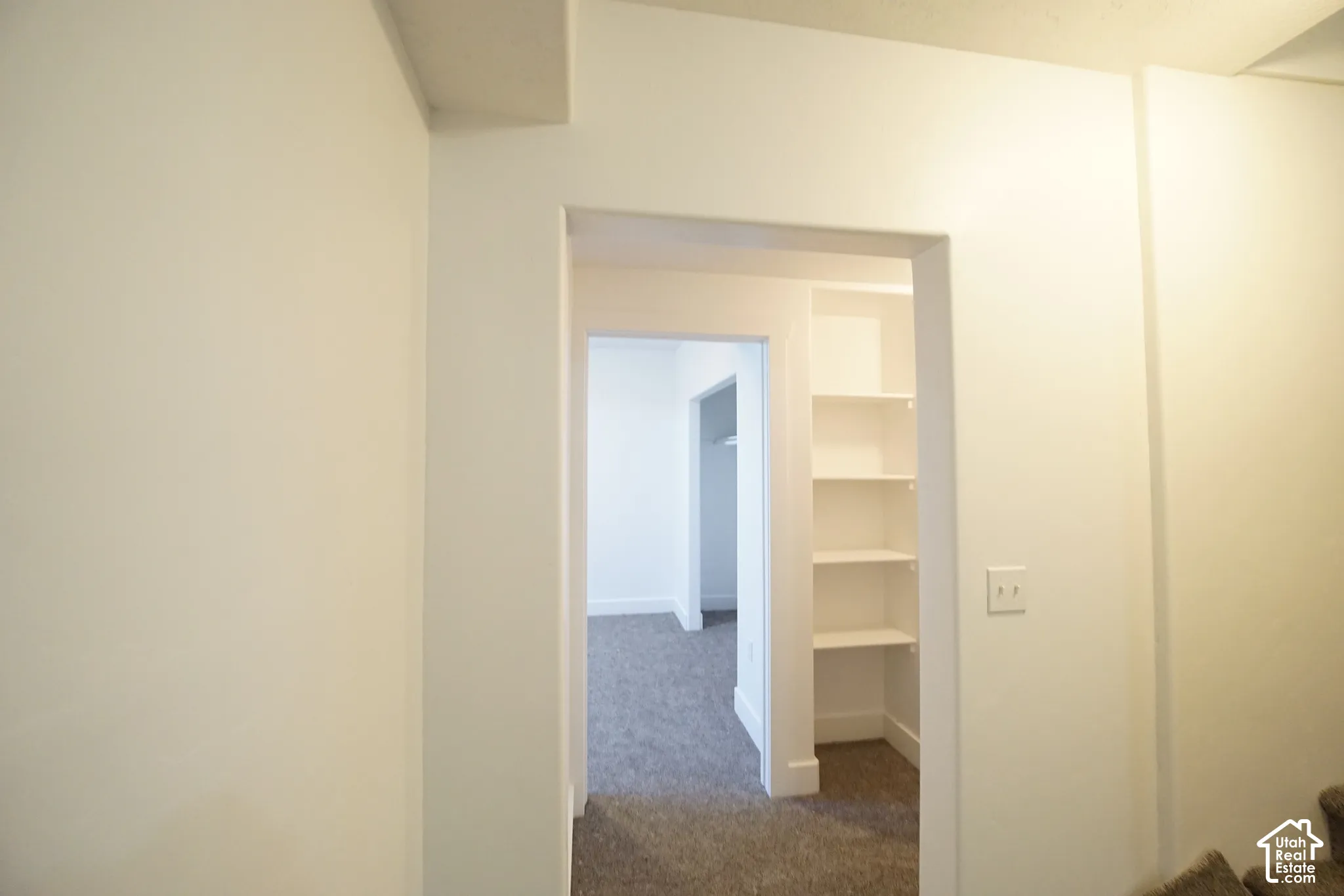Hallway with built-in shelving, white walls, and carpet flooring