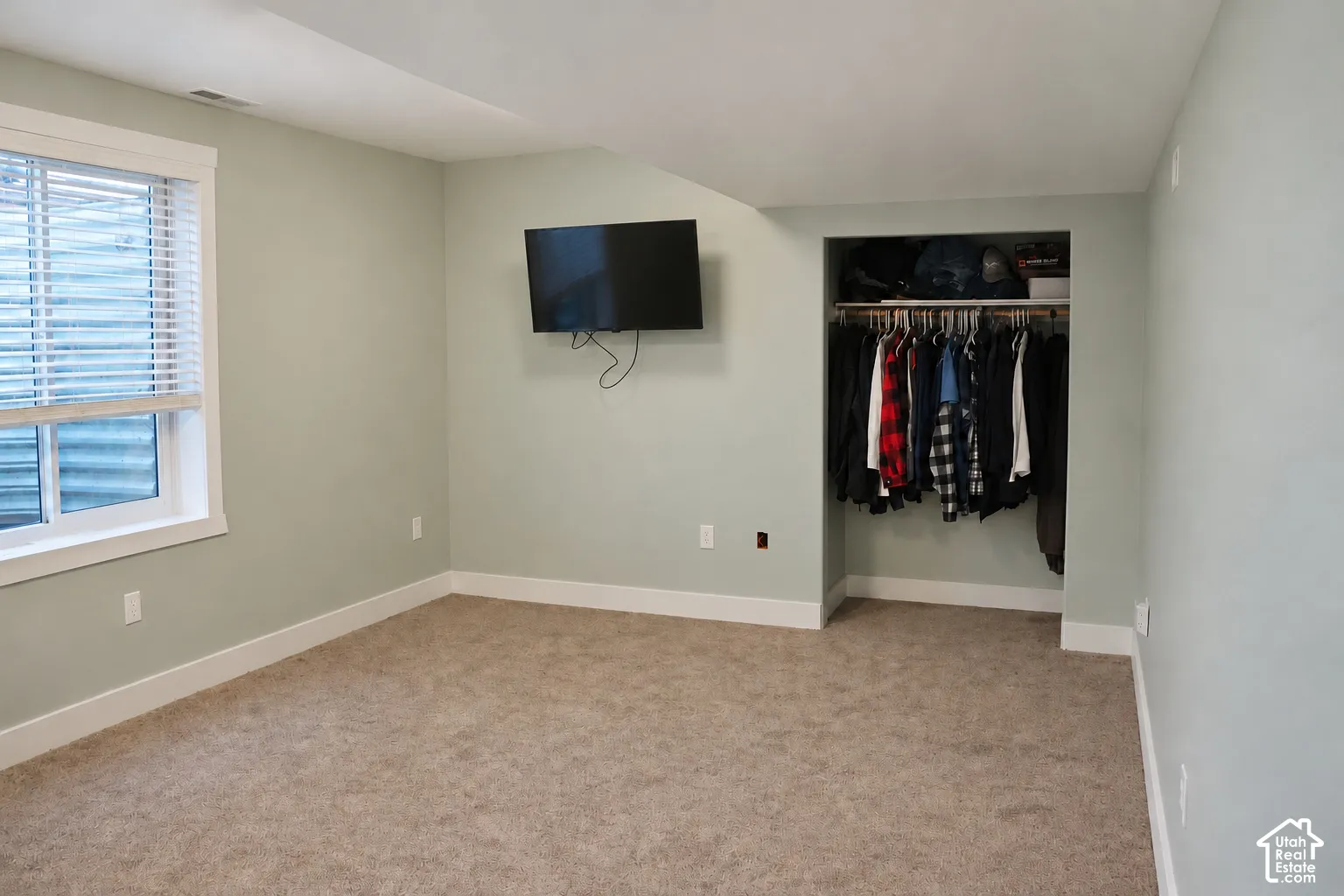 Window with white blinds, neutral carpet flooring, and a built-in closet with hanging rod and shelf