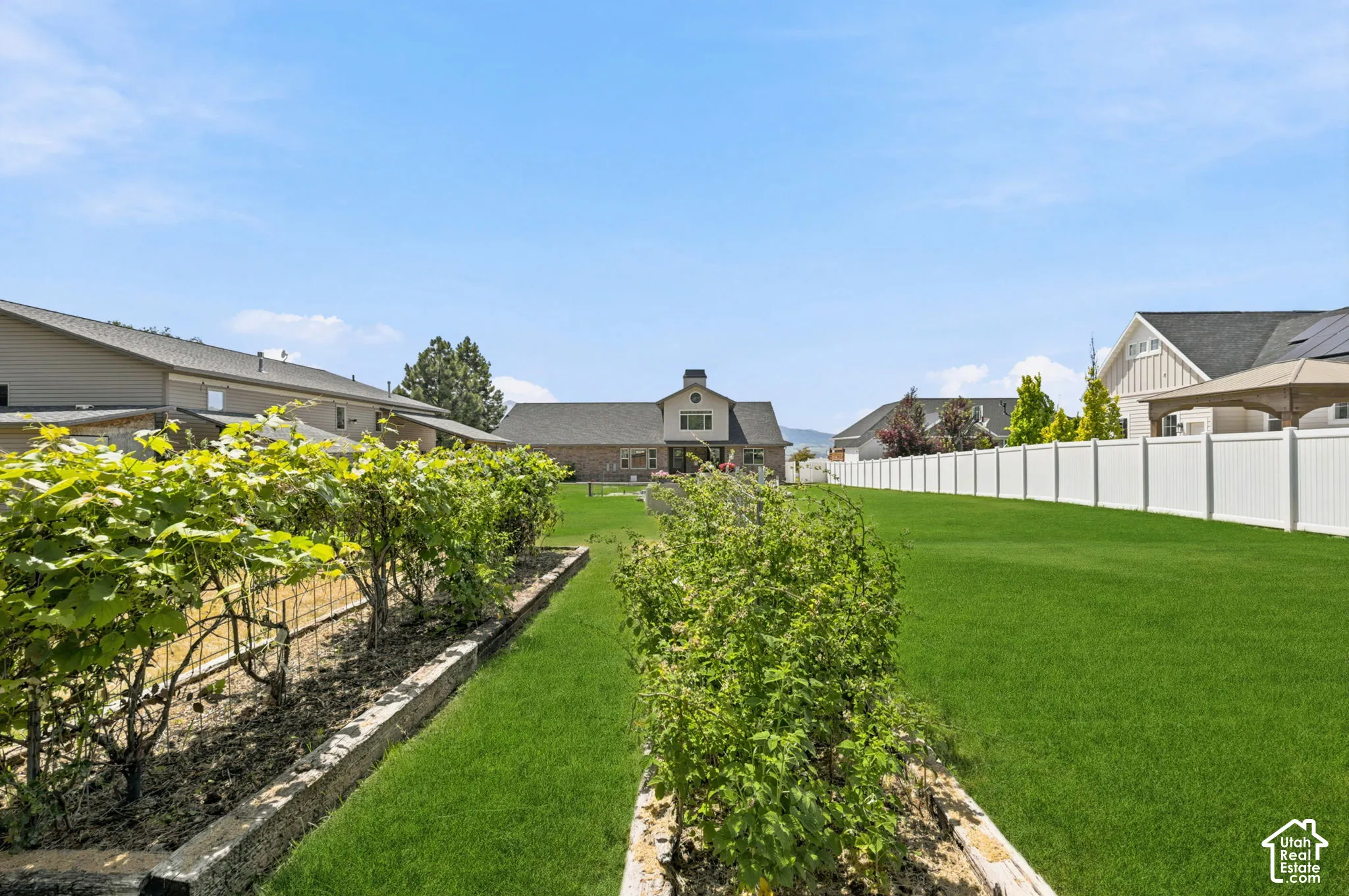 Expansive backyard featuring a lush lawn, two rows of established garden beds, and a full-height privacy fence