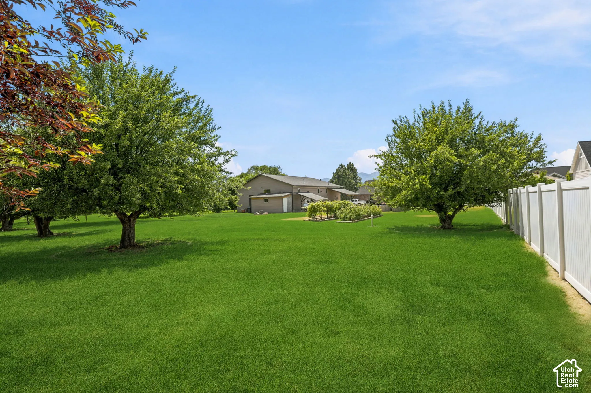 Expansive green lawn with mature trees, a white perimeter fence, and distant residential structures