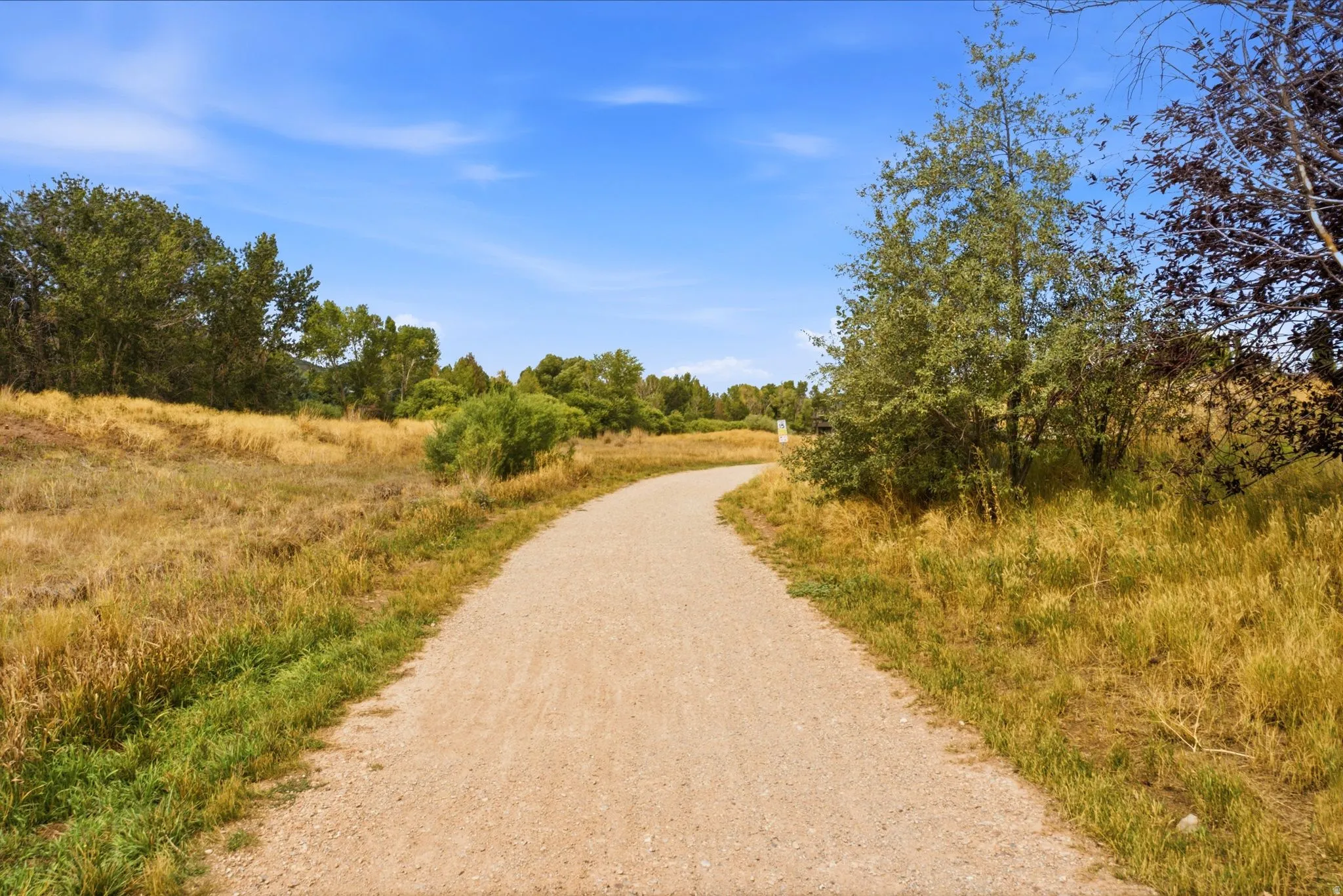 Gravel pathway bordered by natural grasses and mature trees