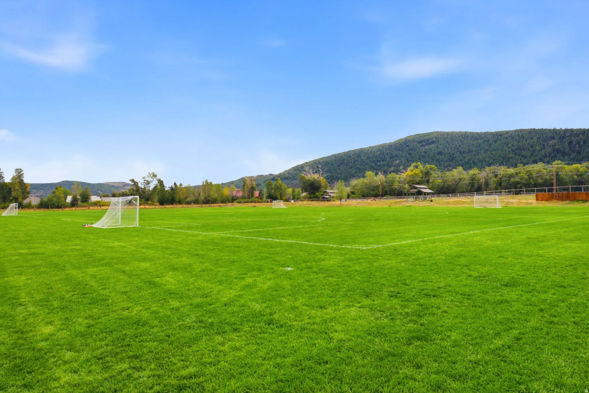 Expansive green field with distinct white line markings, surrounded by distant tree lines and distant mountains
