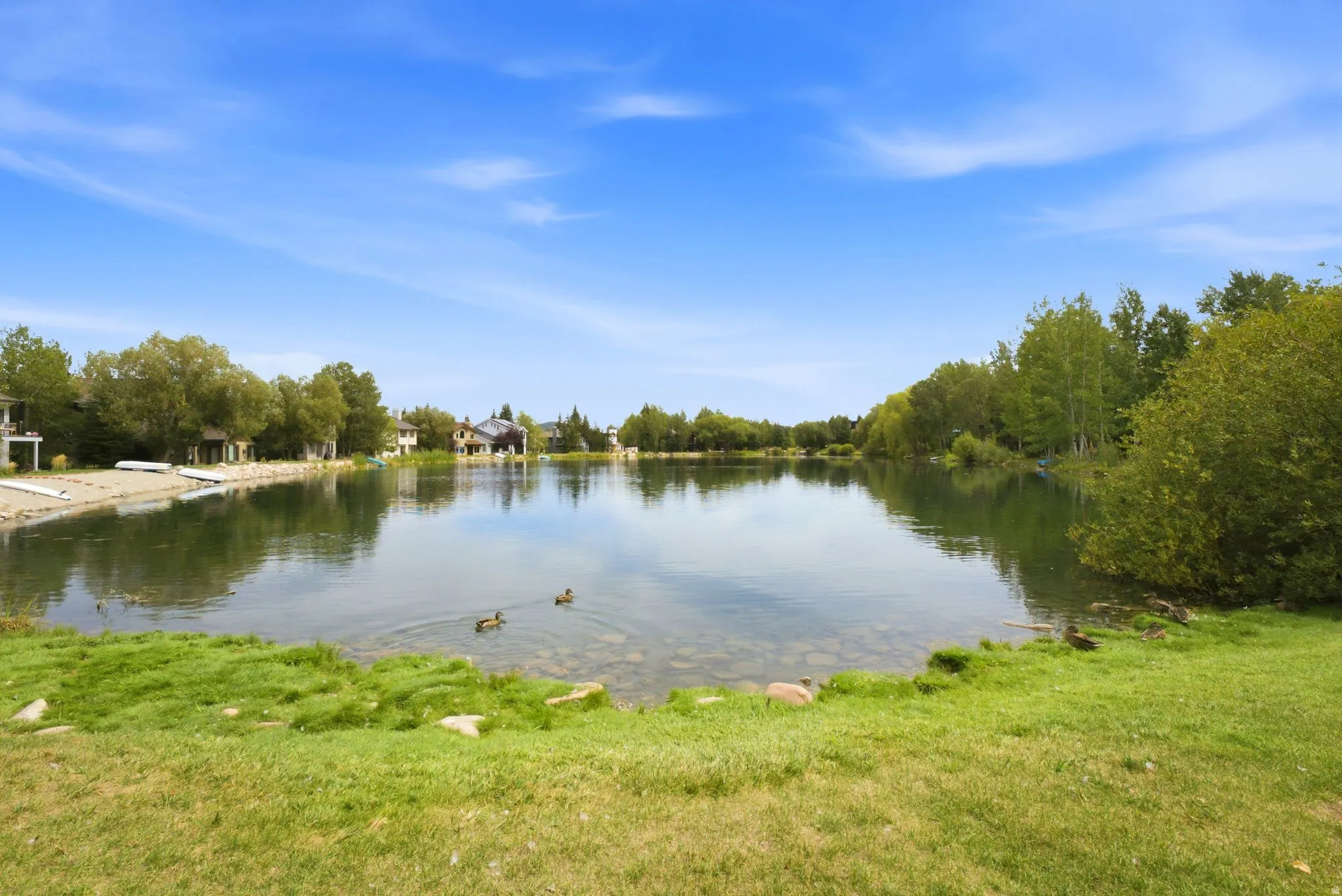 Expansive waterfront property with a grassy shoreline, mature trees, and direct water access