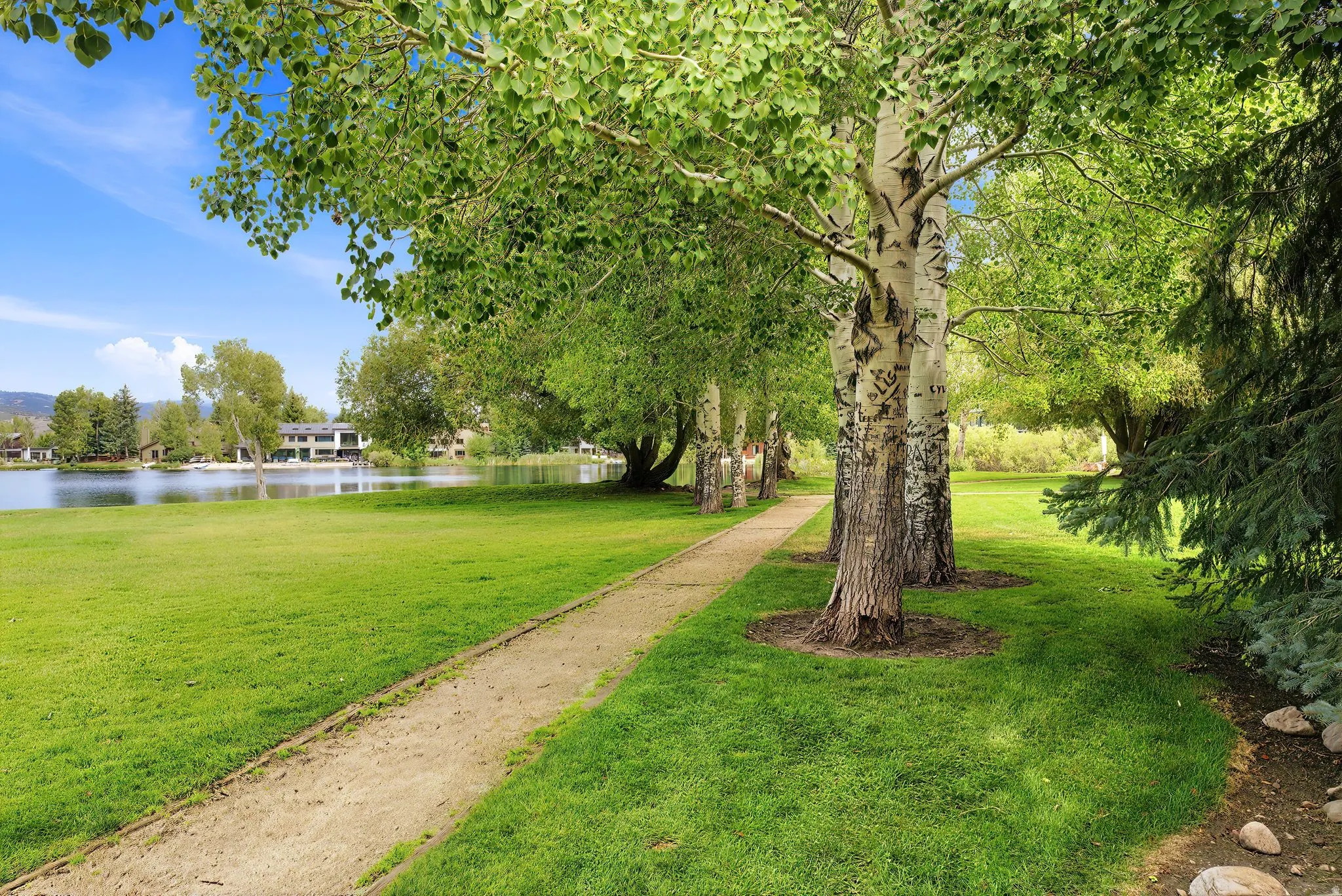 Expansive green lawn with mature trees and a walking path