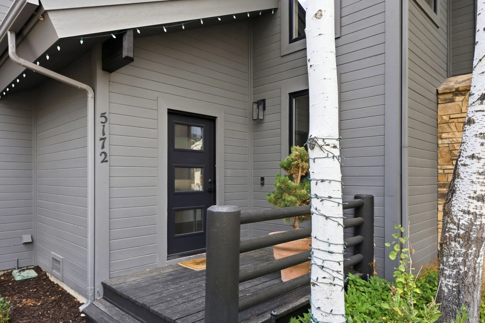 Modern exterior siding with dark trim, featuring a contemporary entry door with glass panels