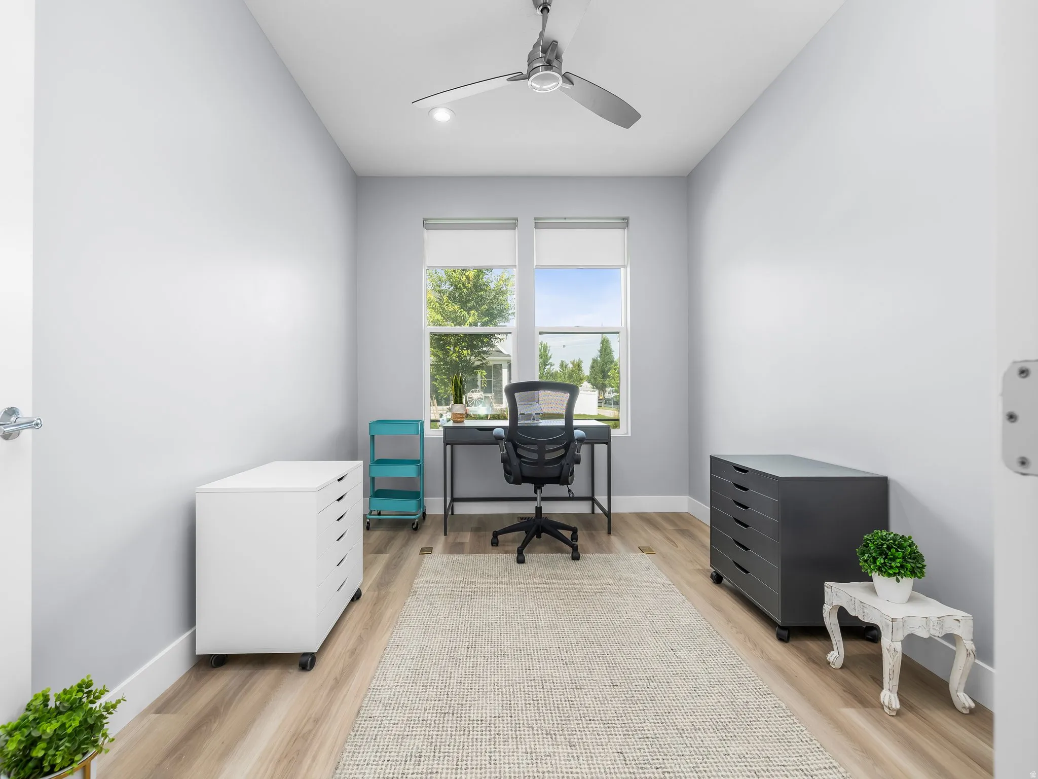 Bright room with light wood-finish flooring, two large windows, a ceiling fan with integrated lighting, and white baseboards