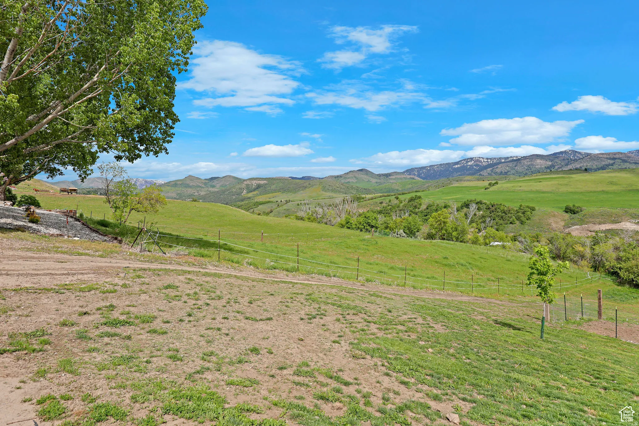 Expansive green landscape featuring rolling hills, distant mountains, and scattered trees under a blue sky