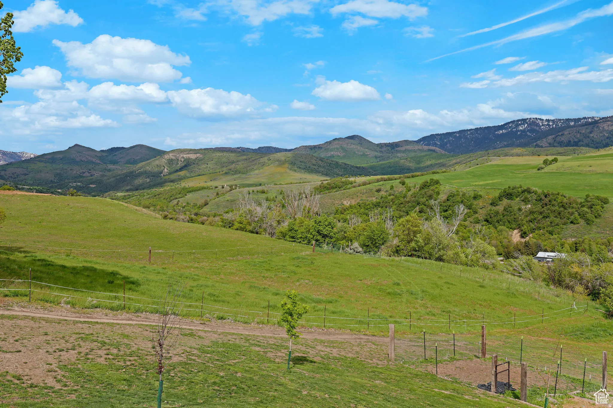 Expansive green pastures and rolling hills framed by distant mountains