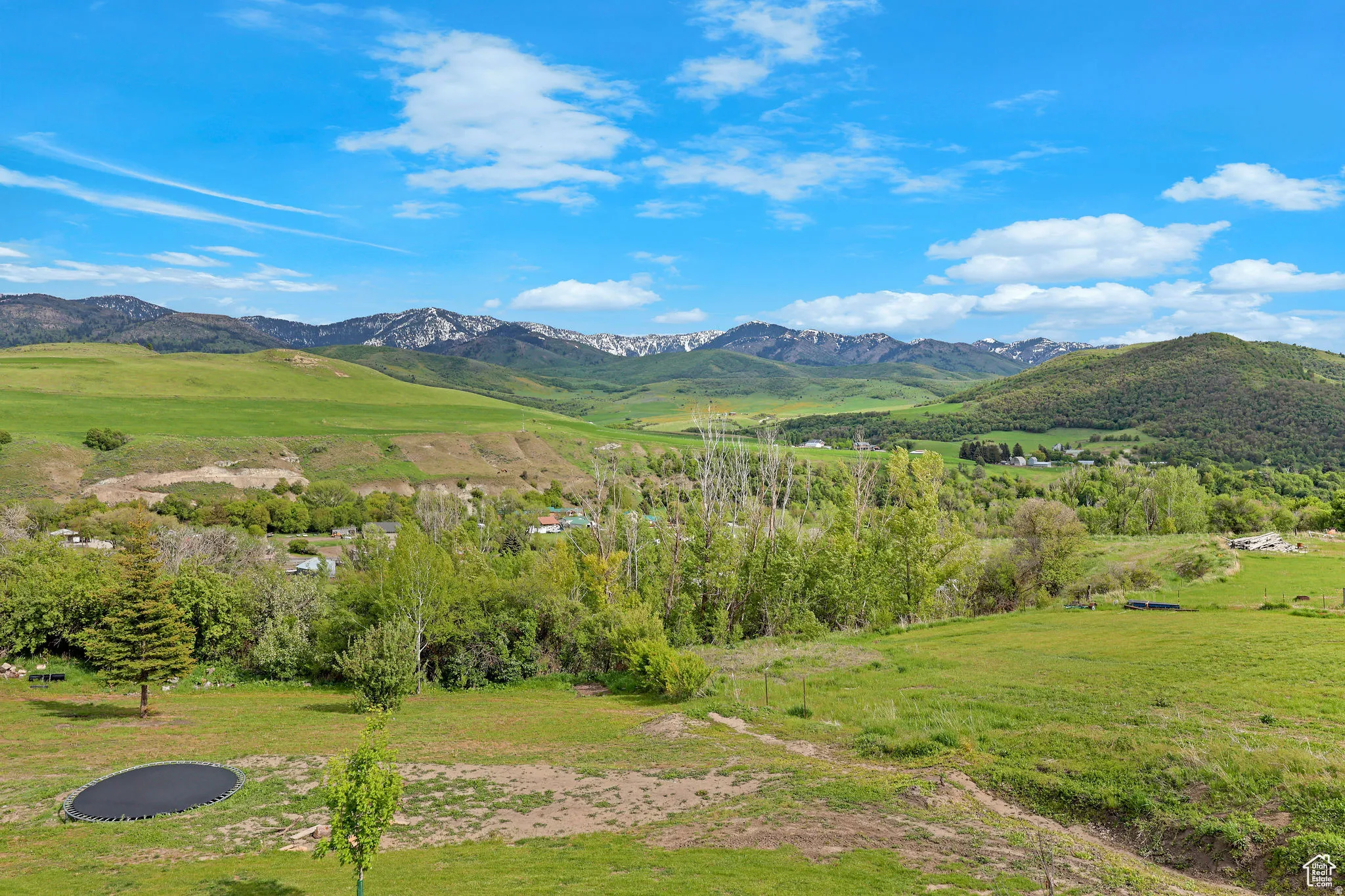 Expansive verdant landscape featuring rolling hills, mature trees, and distant snow-capped mountains