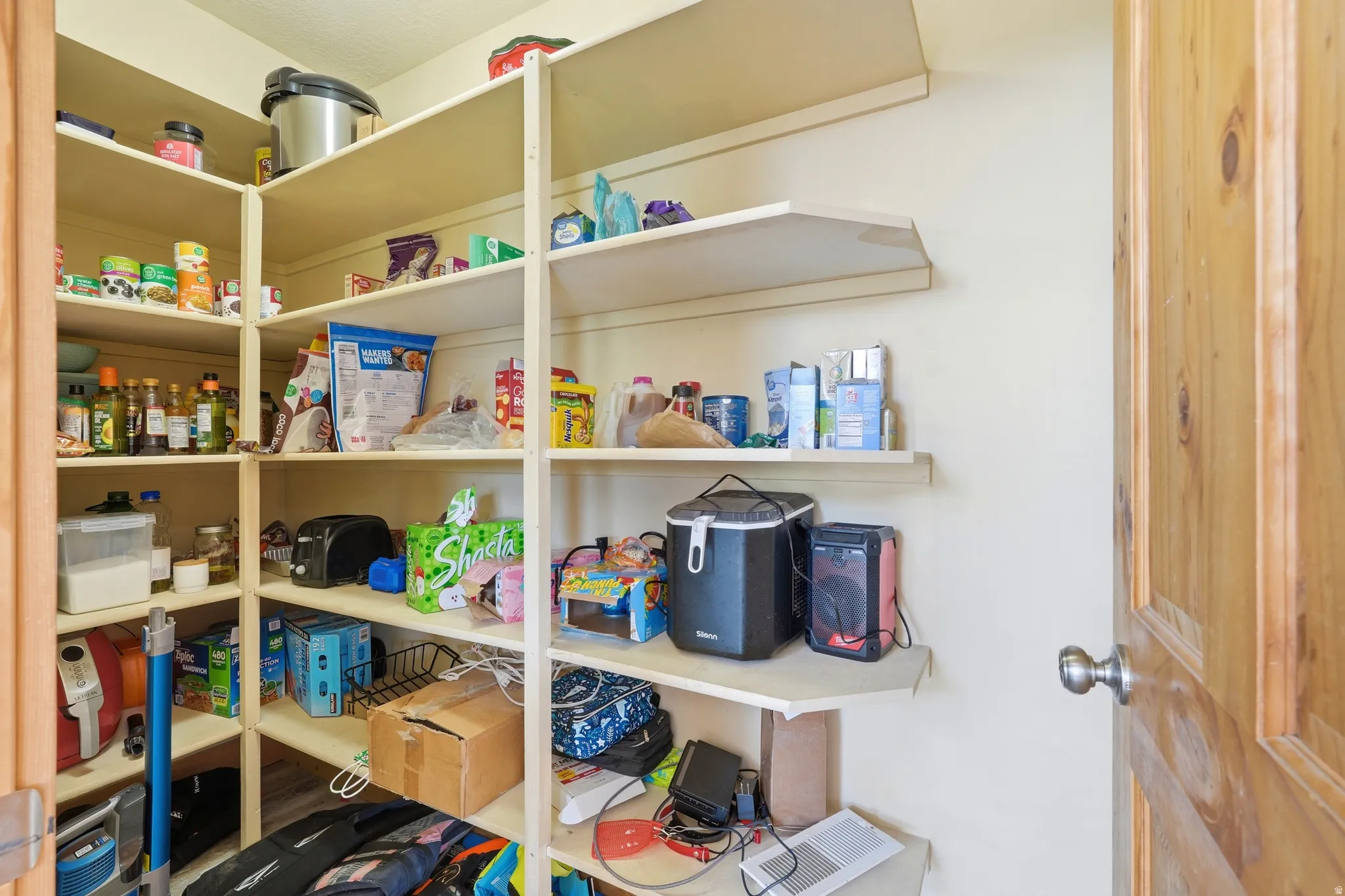 Walk-in pantry featuring light-toned walls, built-in shelving, and a natural wood-finish door