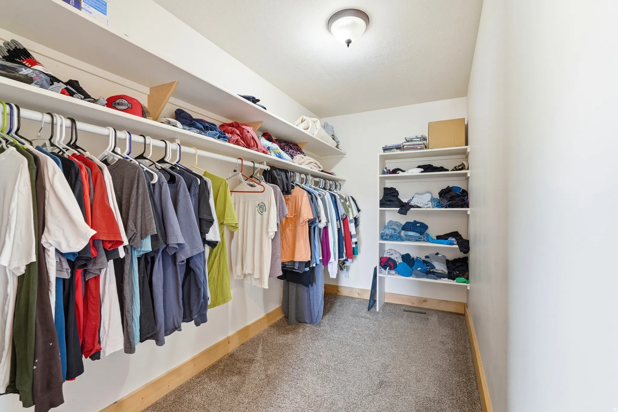 Spacious closet featuring wall-mounted shelving, hanging rods, an integrated ceiling light fixture, and carpet flooring