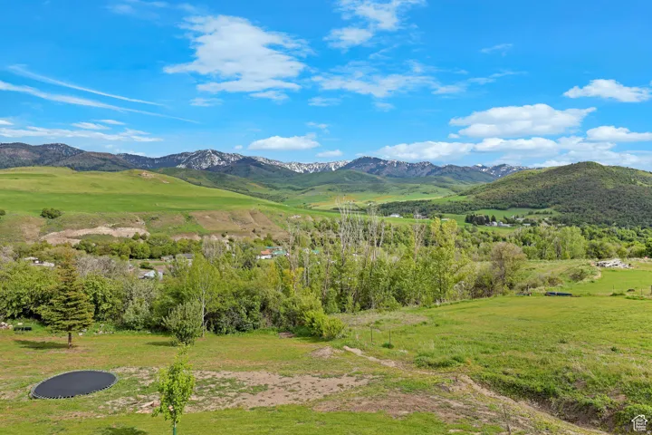 Expansive verdant landscape featuring rolling hills, mature trees, and distant snow-capped mountains