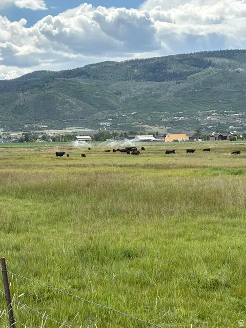 Expansive open field with green grass, featuring distant mountainous terrain