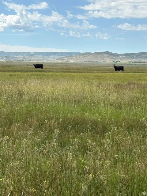Expansive undeveloped land featuring natural grasses and distant mountain formations