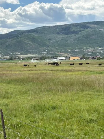 Expansive open field with green grass, featuring distant mountainous terrain