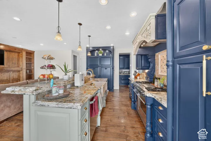 Gourmet kitchen with custom blue cabinetry, light granite countertops, stainless steel appliances, and a wood-finish flooring