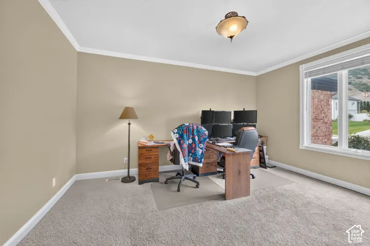 Carpeted room with neutral wall tones and white crown molding