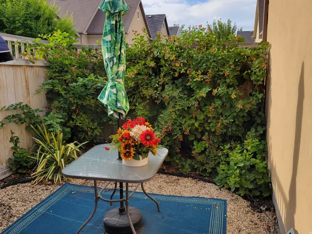 Private patio space featuring pea gravel hardscaping