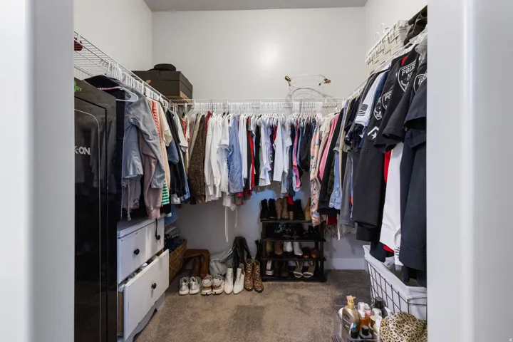 Walk-in closet featuring carpet flooring, white walls, and wire shelving system