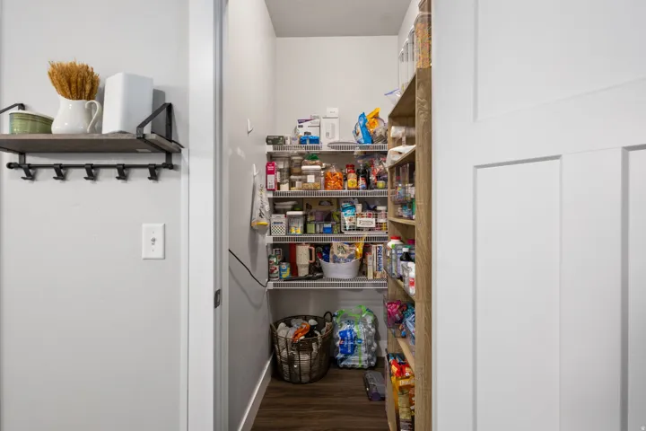 Walk-in pantry featuring extensive shelving, wood-finish flooring, and a contemporary white door
