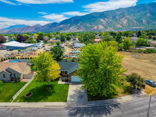 Ranch-style residence featuring a prominent front lawn, mature trees, and an attached garage