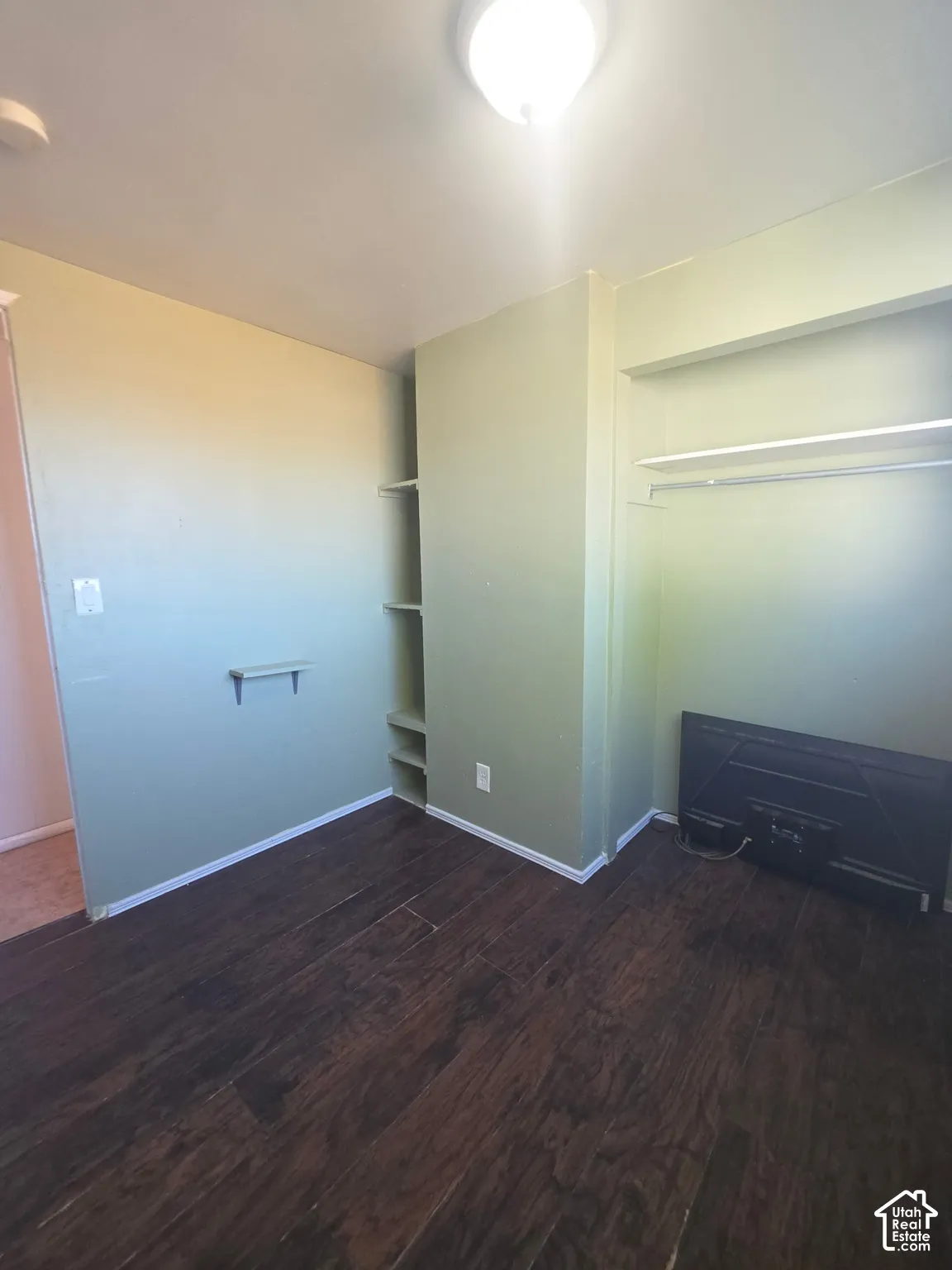 Wood-finish flooring with built-in shelving, a built-in closet, and a flush-mount ceiling light fixture