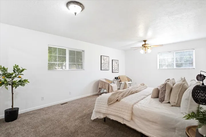 Bright room featuring white walls, textured carpeting, and multiple windows