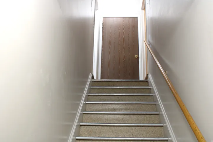 Staircase featuring carpeted treads with metal nosing, a wood-finish handrail, and light-toned wall finishes
