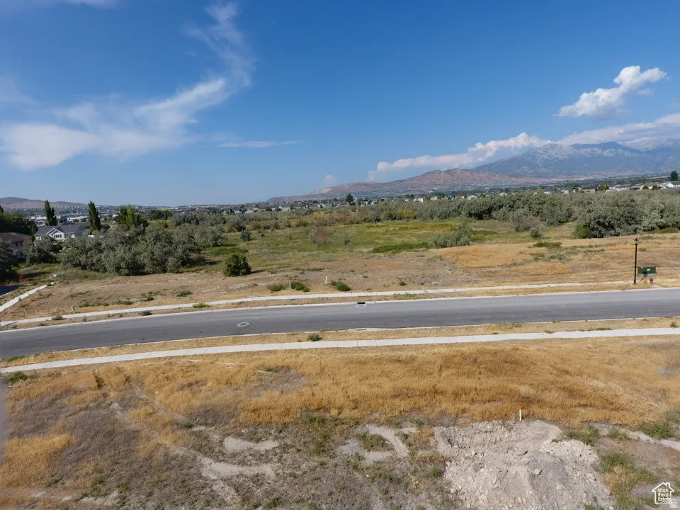 Expansive undeveloped land featuring a paved road with sidewalks, mature trees, and distant mountain scenery