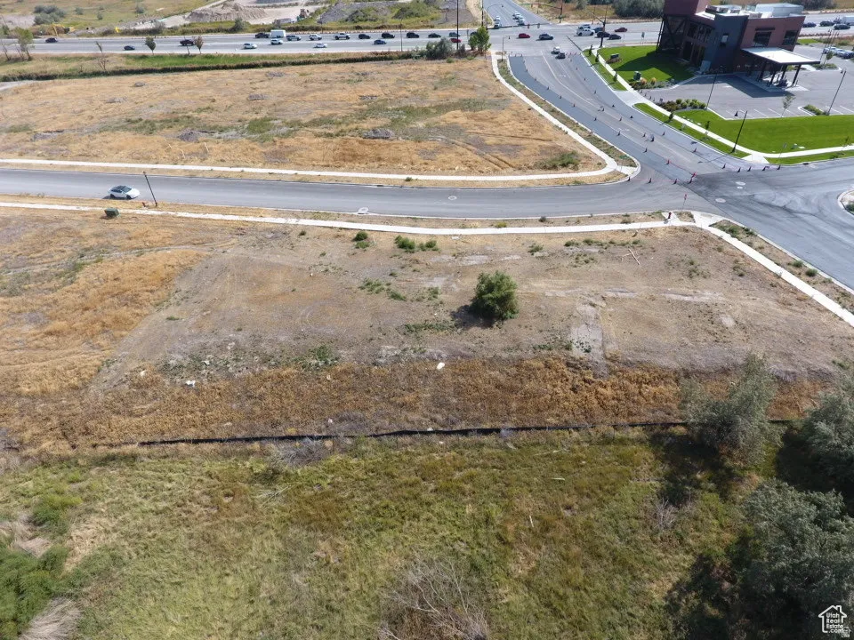 Expansive undeveloped land parcel featuring mature trees, a single established tree, and visible road access