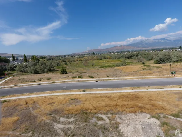Expansive undeveloped land featuring a paved road with sidewalks, mature trees, and distant mountain scenery