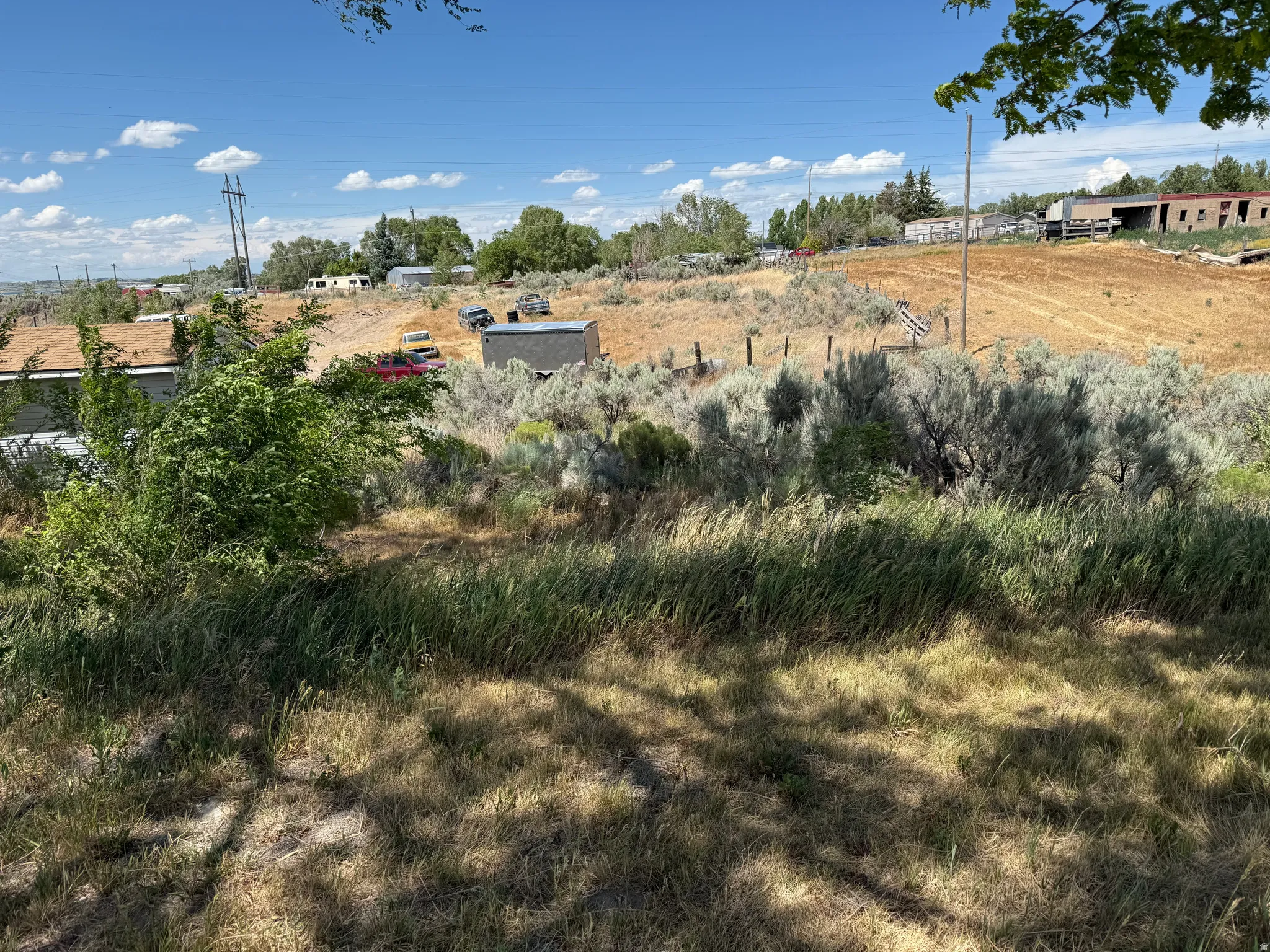 Expansive sloped terrain featuring natural grasses and shrubbery
