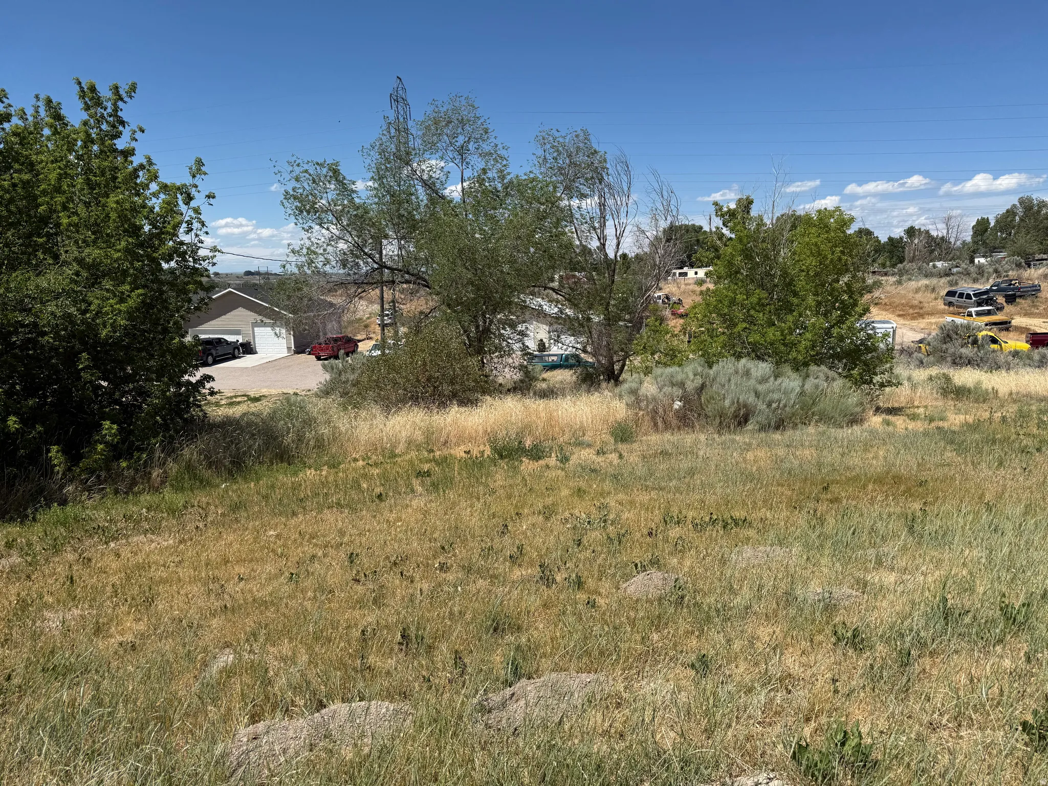Expansive open lot featuring natural vegetation and scattered trees