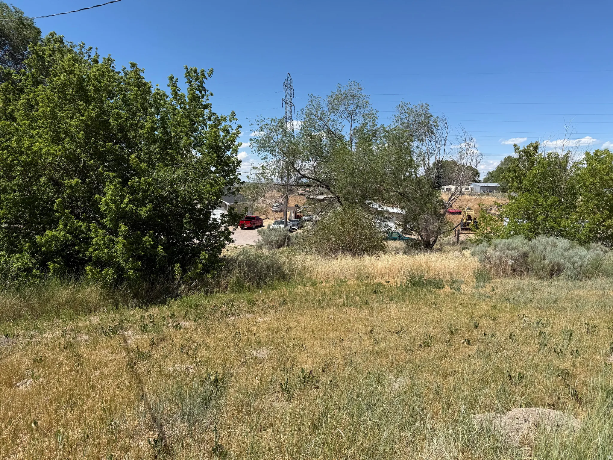 Expansive open lot featuring natural grasses and mature trees