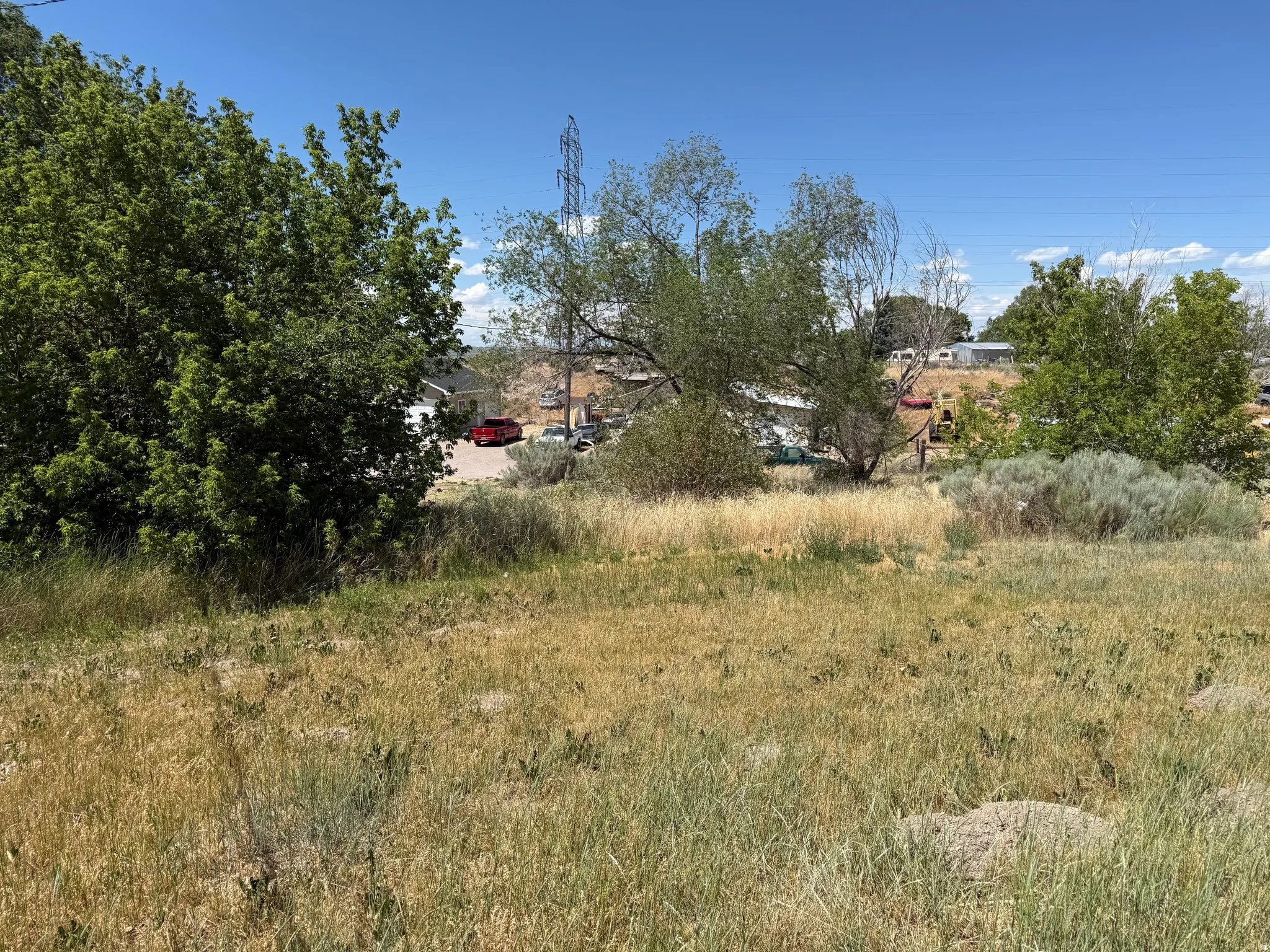Expansive plot featuring natural vegetation and scattered trees, offering open space
