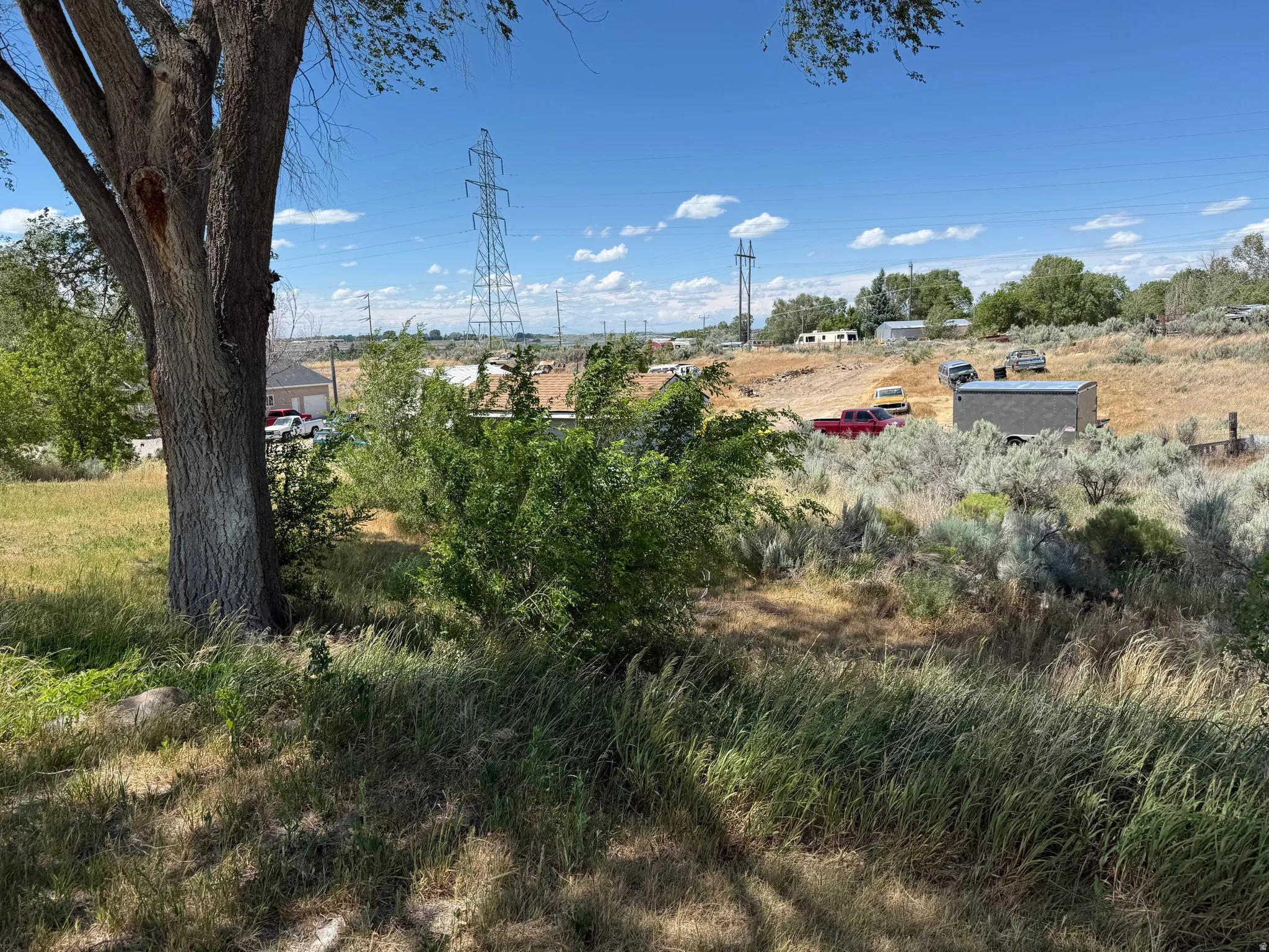 Expansive open land featuring diverse vegetation and mature trees