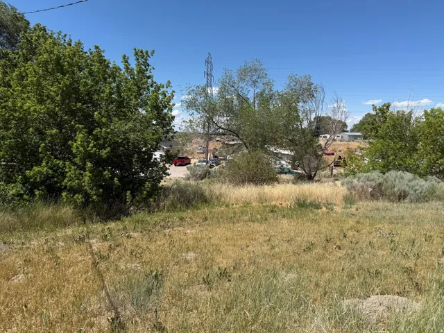 Expansive open lot featuring natural grasses and mature trees