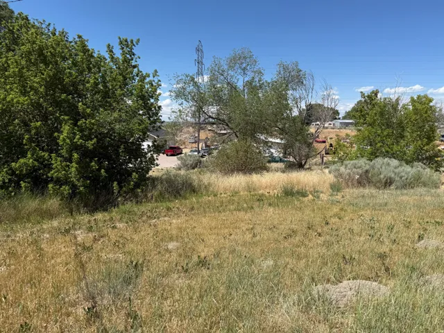 Expansive plot featuring natural vegetation and scattered trees, offering open space
