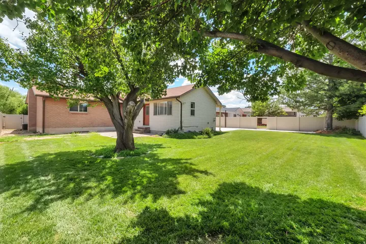 Spacious grass backyard with mature trees providing extensive shade