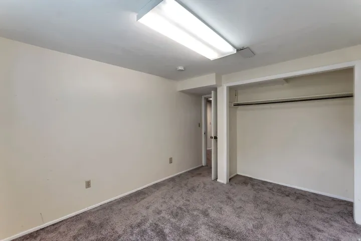 Interior room featuring a neutral color palette, grey carpet flooring, recessed closet space with a clothing rod, and a ceiling-mounted fluorescent light fixture