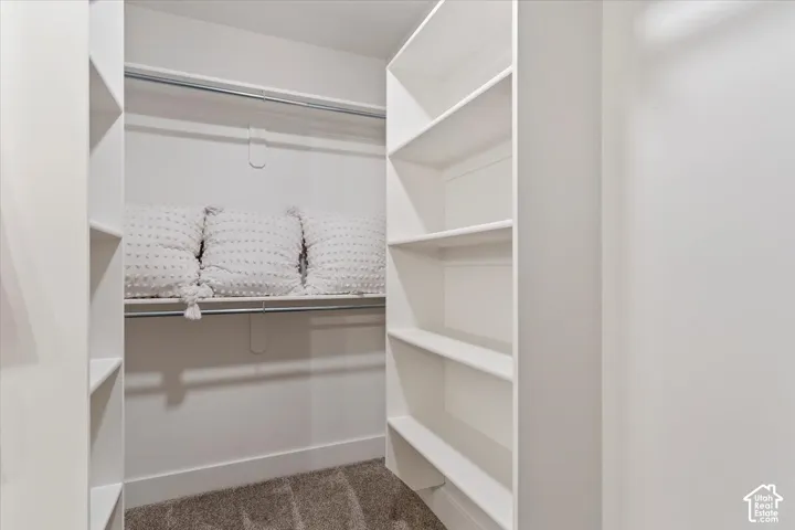 Walk-in closet featuring white built-in shelving, hanging rods, and carpet flooring